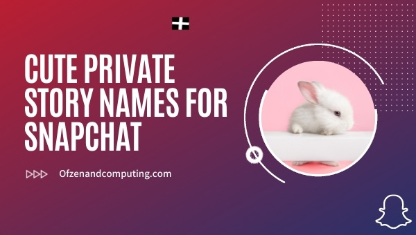Cute Private Story Names for Snapchat (2025)