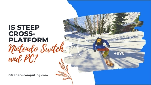 Is Steep Cross-Platform Nintendo Switch and PC?