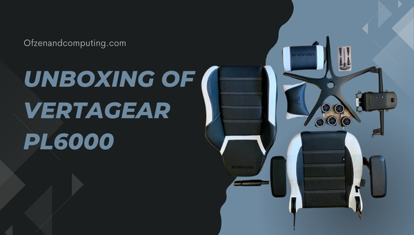 Desembalaje de Vertagear PL6000