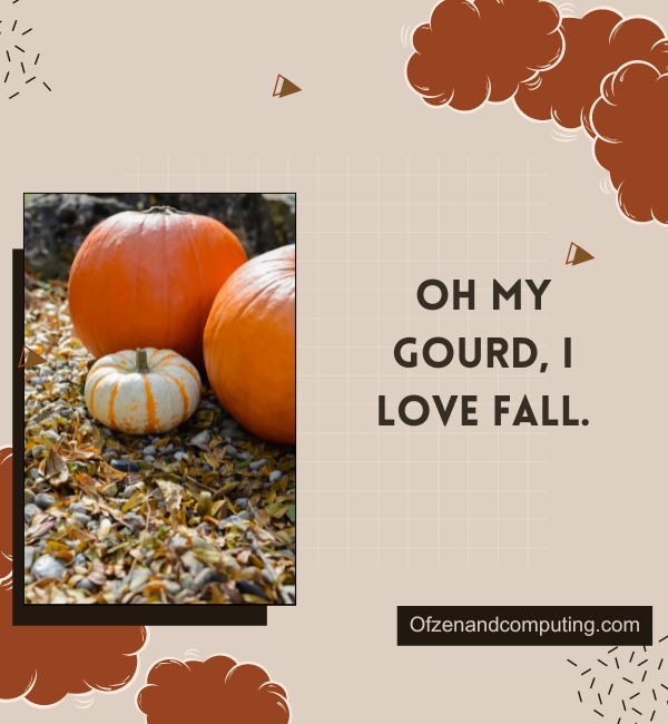 Aesthetic Fall Captions For Instagram (2025)