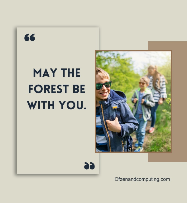 Clever Hiking Captions For Instagram (2025)