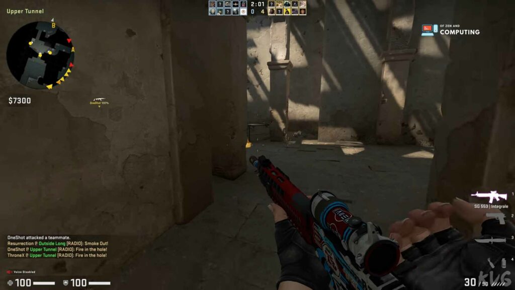 Counter Strike Global Offensive