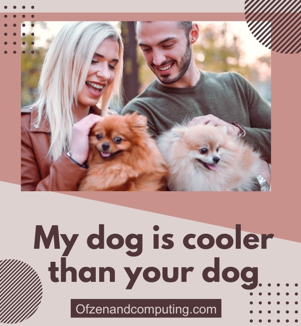Cute Dog Captions For Instagram (2025)