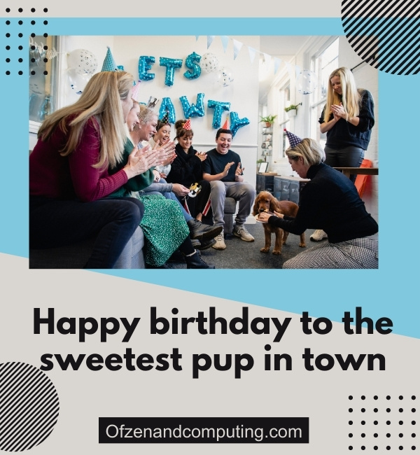 Dog Birthday Captions For Instagram (2025)