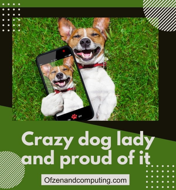 Best Dog Captions For Instagram (2025)