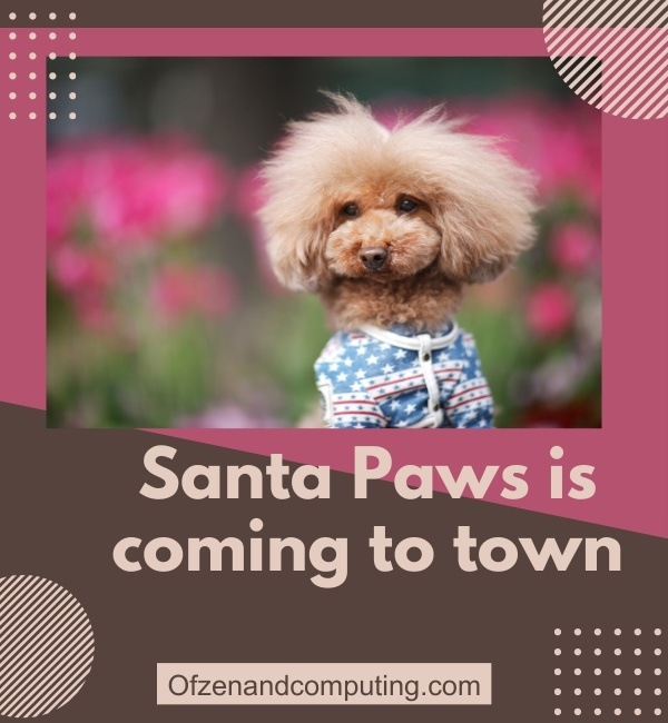 Dog Instagram Captions For Christmas (2025)