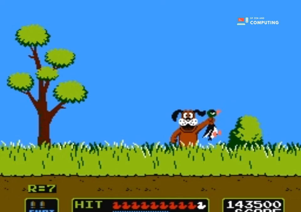 Duck Hunt
