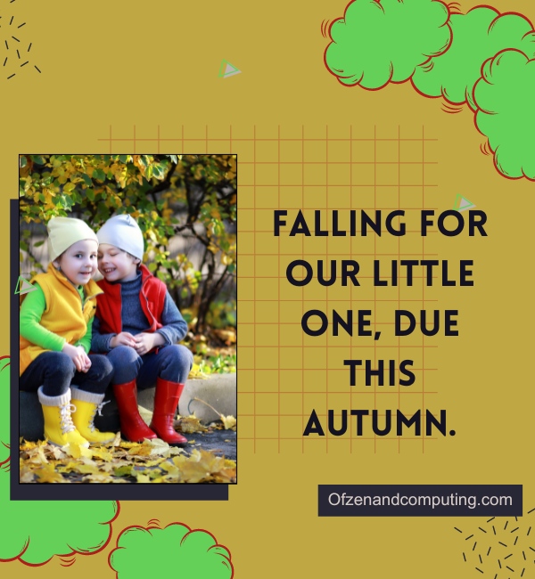 Fall Baby Announcement Captions For Instagram (2025)