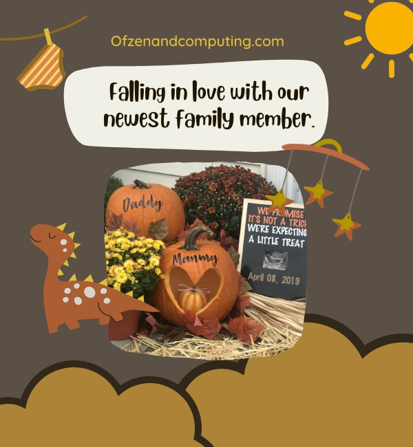 Fall Baby Announcement Captions For Instagram