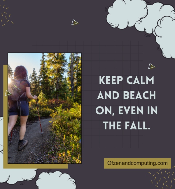 Fall Beach Captions For Instagram (2025)