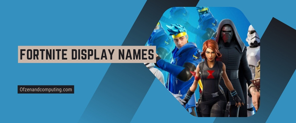 Fortnite Display Names 2025 (Usernames)