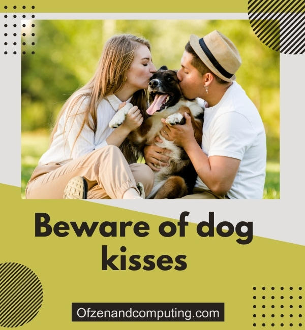 Funny Dog Captions For Instagram (2025)