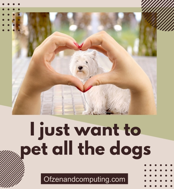 Good Dog Captions For Instagram (2025)