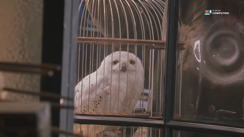 Hedwig