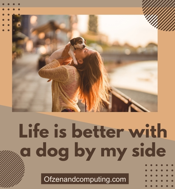 Instagram Captions For Dog Lovers (2025)