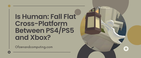 Is Human: Fall Flat Cross-Platform Between PS4/PS5 and Xbox?