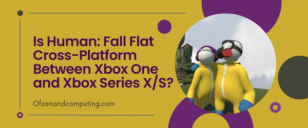Is Human: Fall Flat Cross-Platform Between Xbox One and Xbox Series X/S?