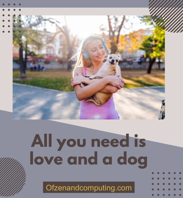 New Dog Instagram Captions (2025)