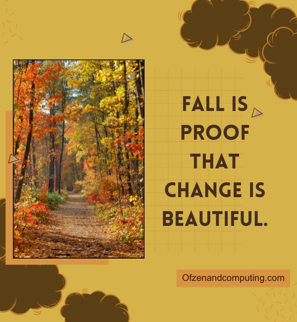 Simple Fall Instagram Captions For Instagram (2025)