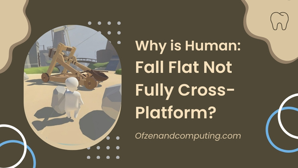 Why is Human: Fall Flat Not Fully Cross-Platform?