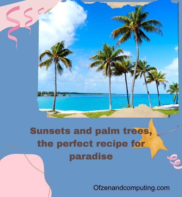 Beach Sunset Captions For Instagram (2025)