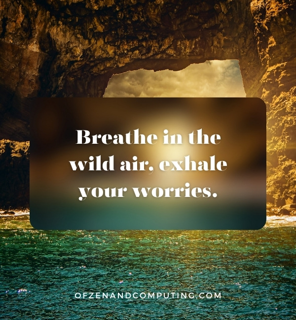 Beautiful Nature Captions For Instagram (2025)