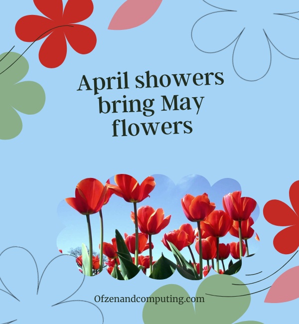 Best Spring Captions For Instagram (2025)