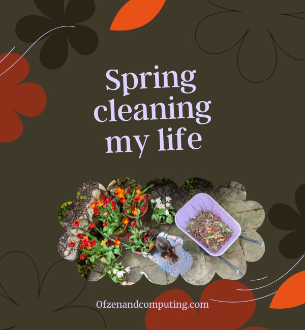 Cute Spring Captions For Instagram (2025)