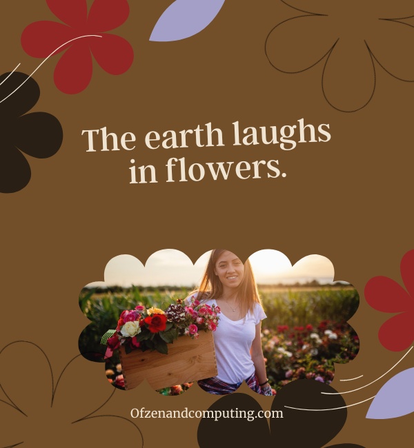 First Day Of Spring Captions For Instagram (2025)