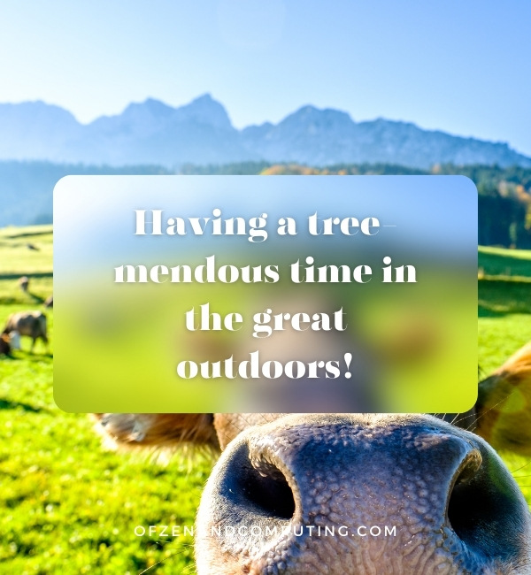 Funny Nature Captions For Instagram (2025)