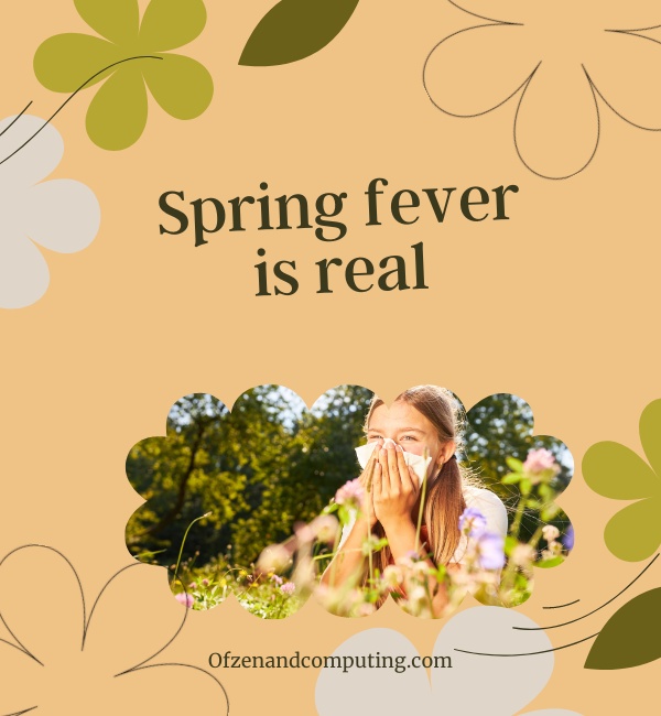 Good Spring Captions For Instagram (2025)