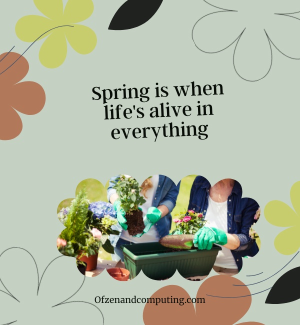Inspirational Spring Captions For Instagram (2025)