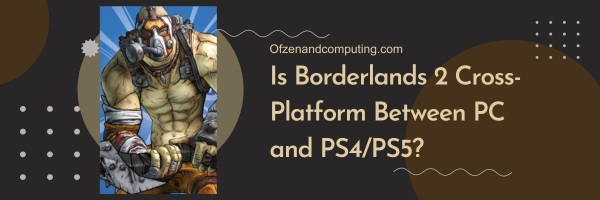 Is Borderlands 2 Cross-Platform Between PC and PS4/PS5?