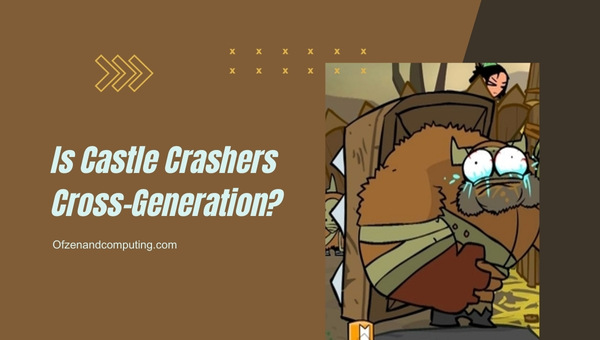 Is Castle Crashers Cross-Generation in 2025?