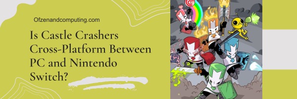 Is Castle Crashers Cross-Platform Between PC and Nintendo Switch?