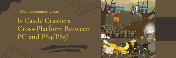 Is Castle Crashers Cross-Platform Between PC and PS4/PS5?