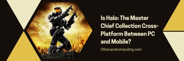 Is Halo: The Master Chief Collection Cross-Platform Between PC And Mobile?