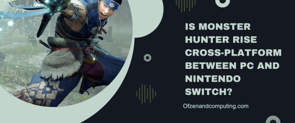 Is Monster Hunter Rise Cross-Platform Between PC And Nintendo Switch?