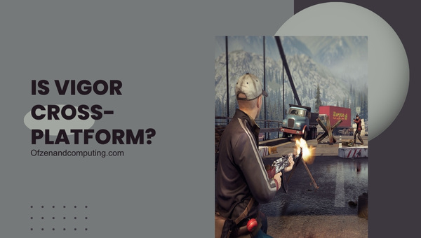 Is Vigor Cross-Platform in 2025?