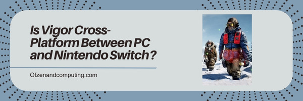Is Vigor Cross-Platform Between PC and Nintendo Switch?