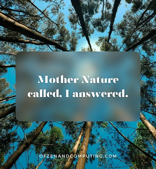 More Nature Caption Ideas For Instagram (2025)
