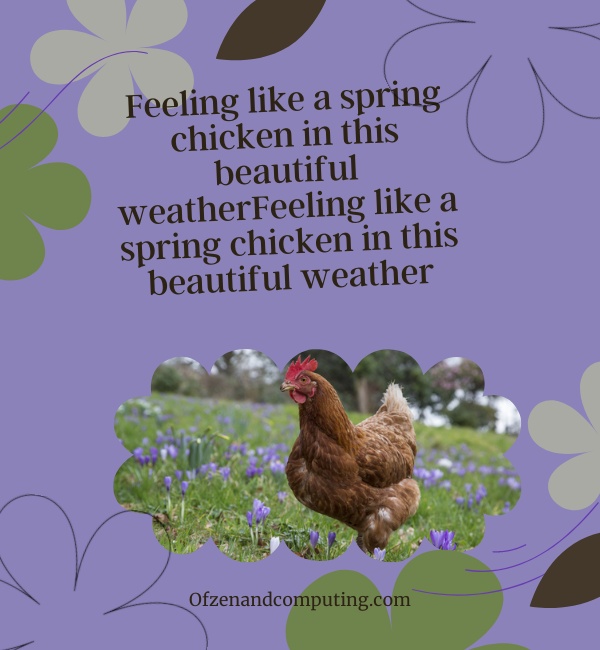 Spring Puns For Captions For Instagram (2025)