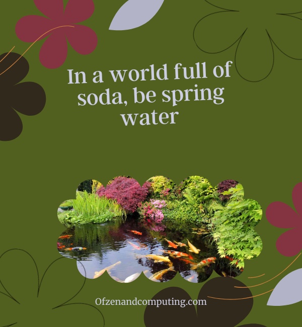 Spring Water Captions For Instagram (2025)