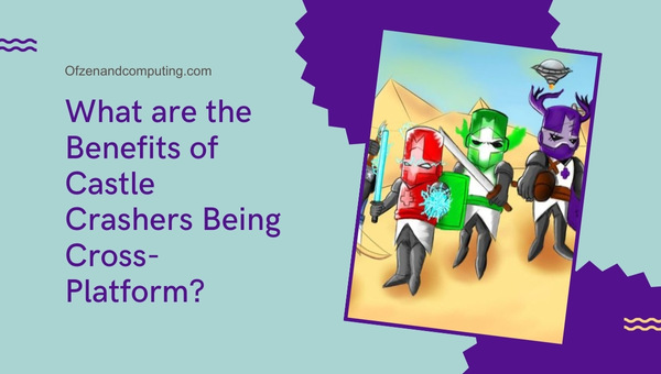 What are the Benefits of Castle Crashers Being Cross-Platform?