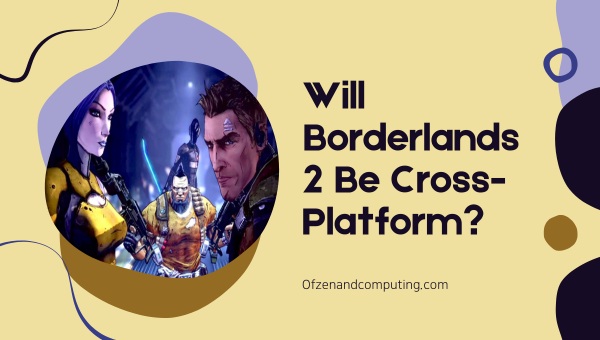 Will Borderlands 2 Be Cross-Platform?