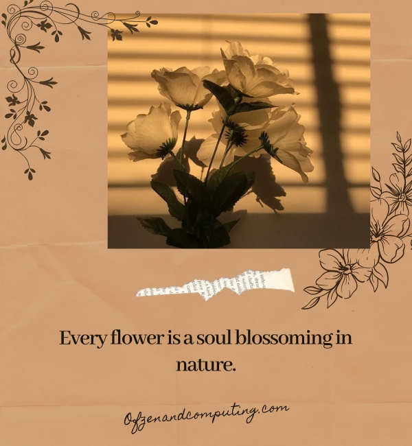 Aesthetic Flower Captions For Instagram (2025)