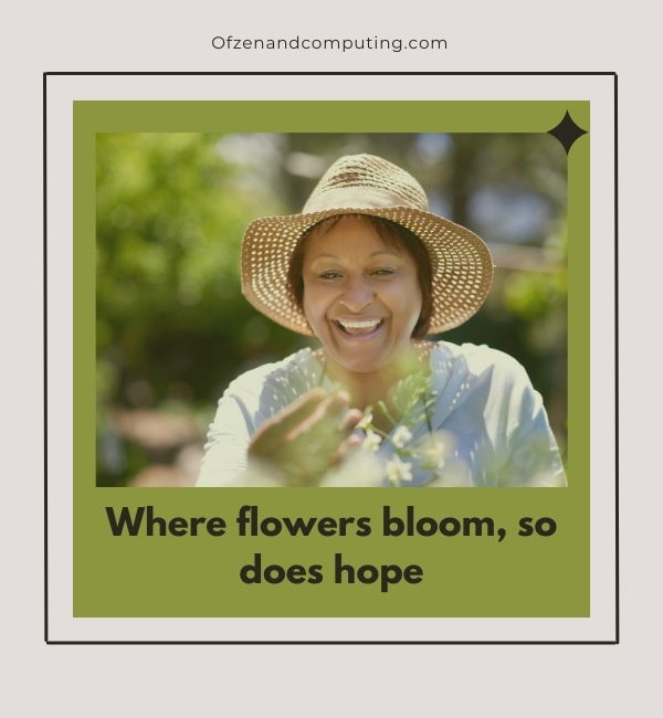 Aesthetic Flower Captions For Instagram (2025)