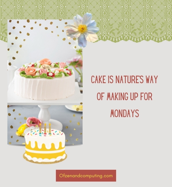 Cake Review Captions For Instagram (2025)