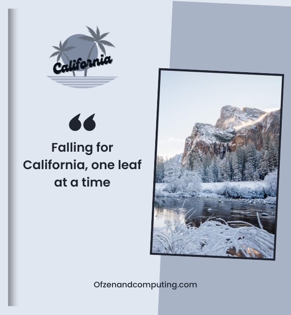 California Winter Captions For Instagram (2025)