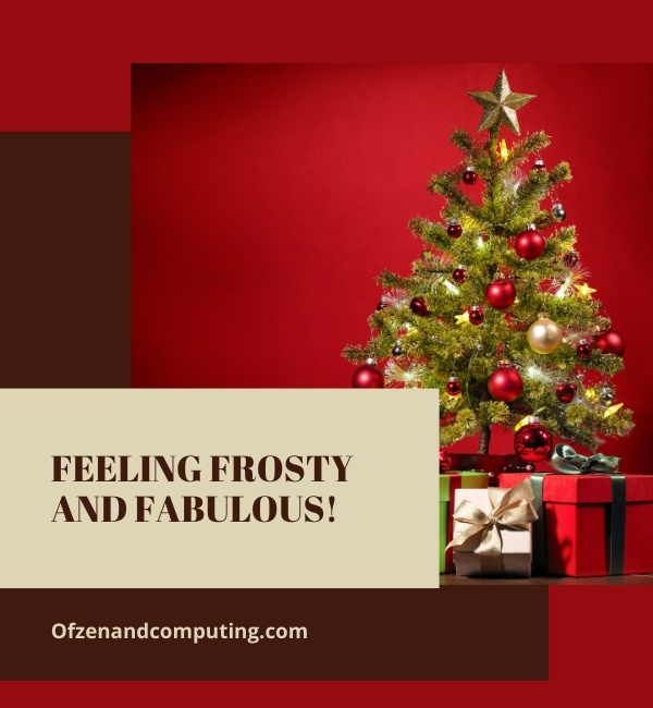 Catchy Christmas Captions For Instagram (2025)